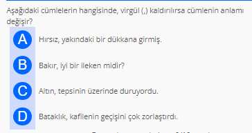Soru Görseli