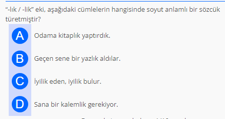 Soru Görseli