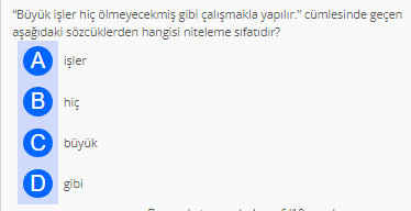Soru Görseli