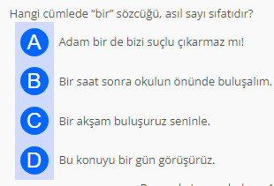 Soru Görseli