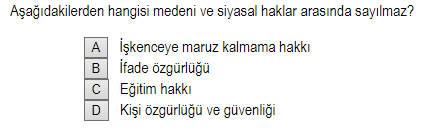 Soru Görseli