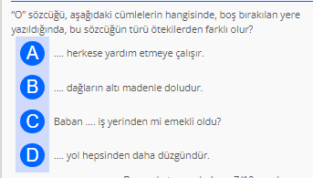 Soru Görseli