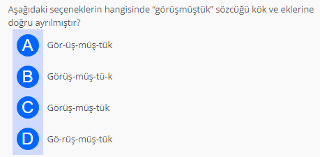 Soru Görseli