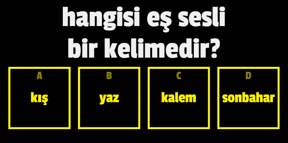 Soru Görseli
