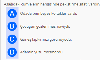 Soru Görseli