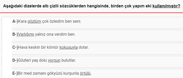 Soru Görseli