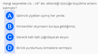Soru Görseli