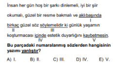 Soru Görseli