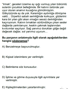 Soru Görseli