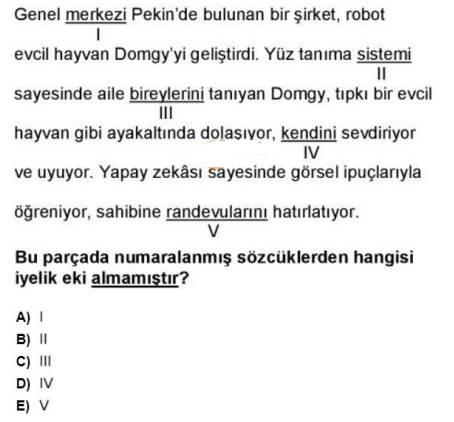 Soru Görseli