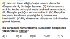 Soru Görseli