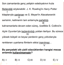 Soru Görseli