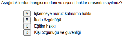Soru Görseli
