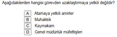Soru Görseli