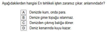 Soru Görseli
