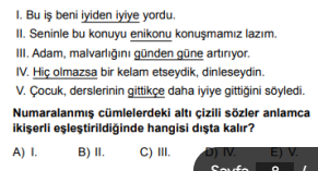 Soru Görseli