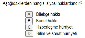 Soru Görseli