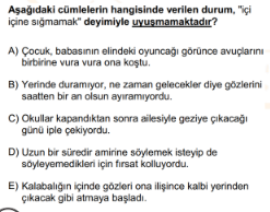 Soru Görseli