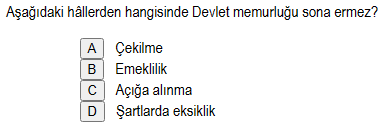 Soru Görseli