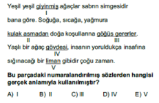 Soru Görseli