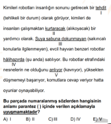Soru Görseli