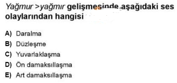 Soru Görseli