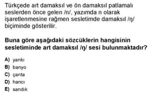 Soru Görseli