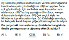 Soru Görseli