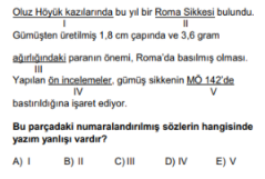 Soru Görseli