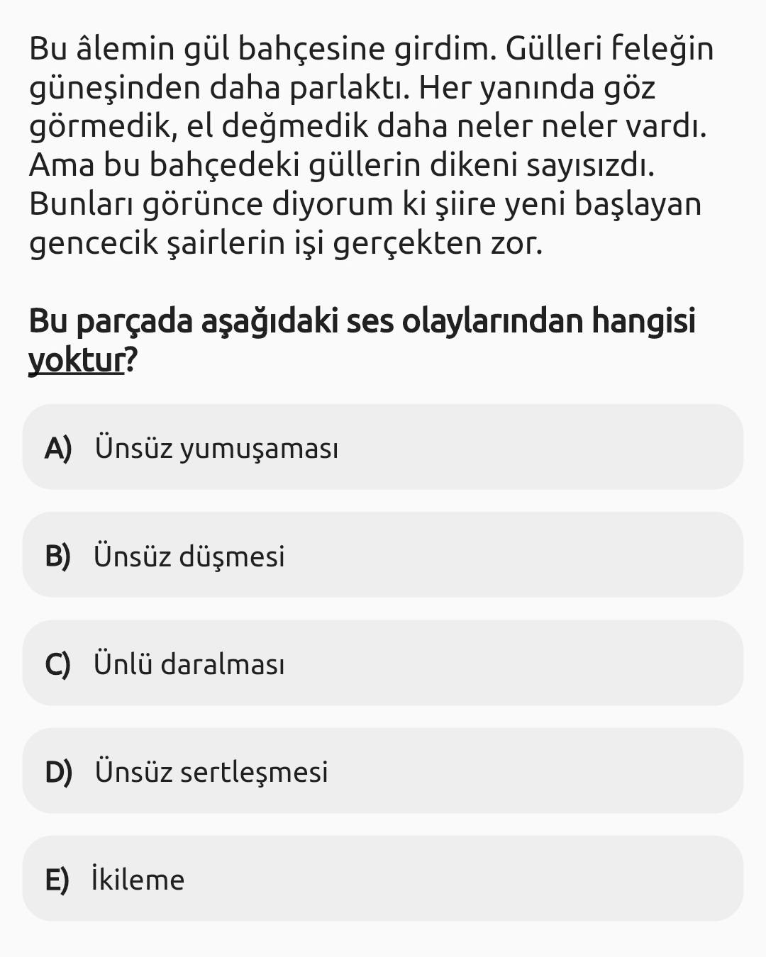 Soru Görseli
