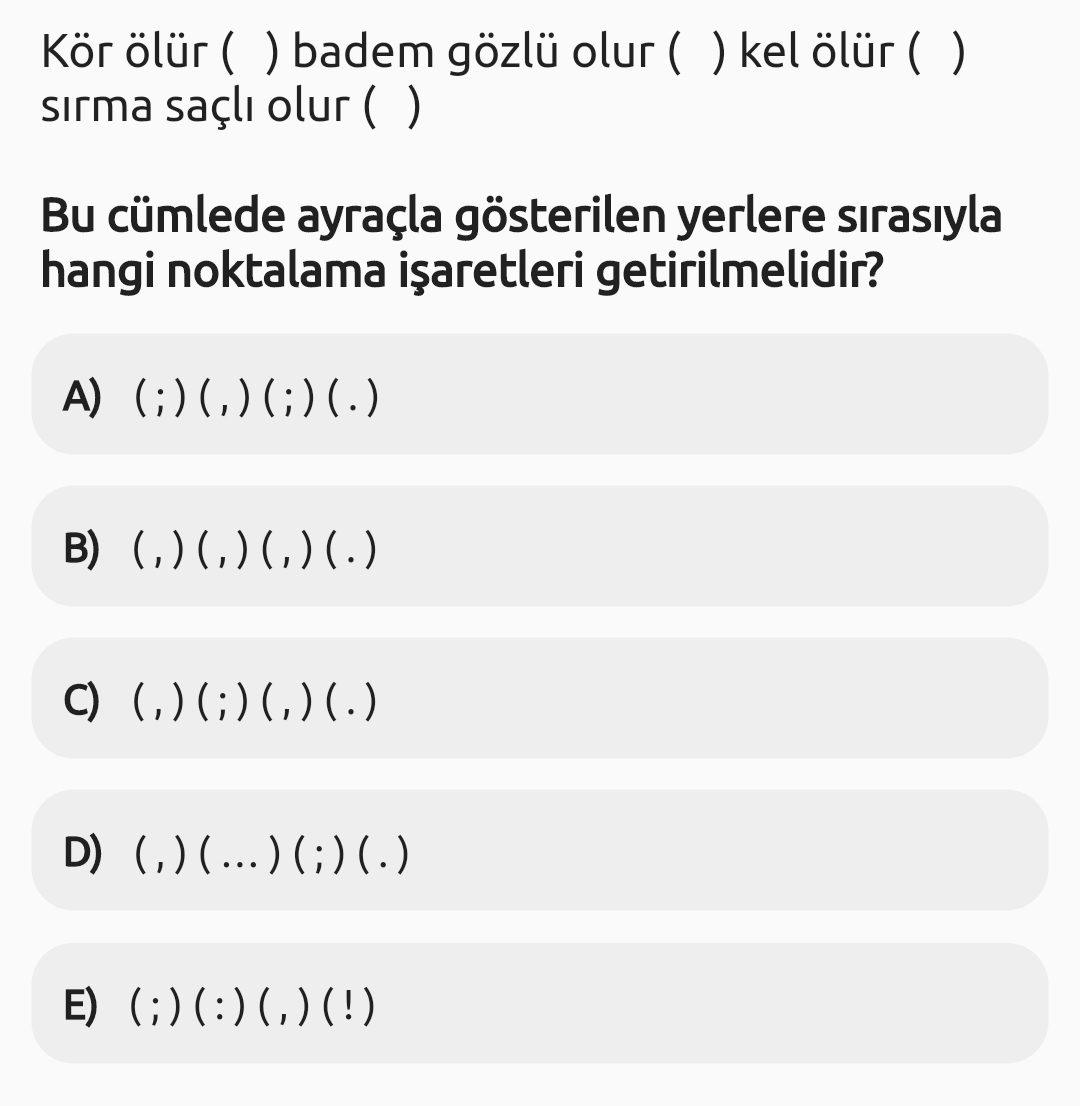 Soru Görseli