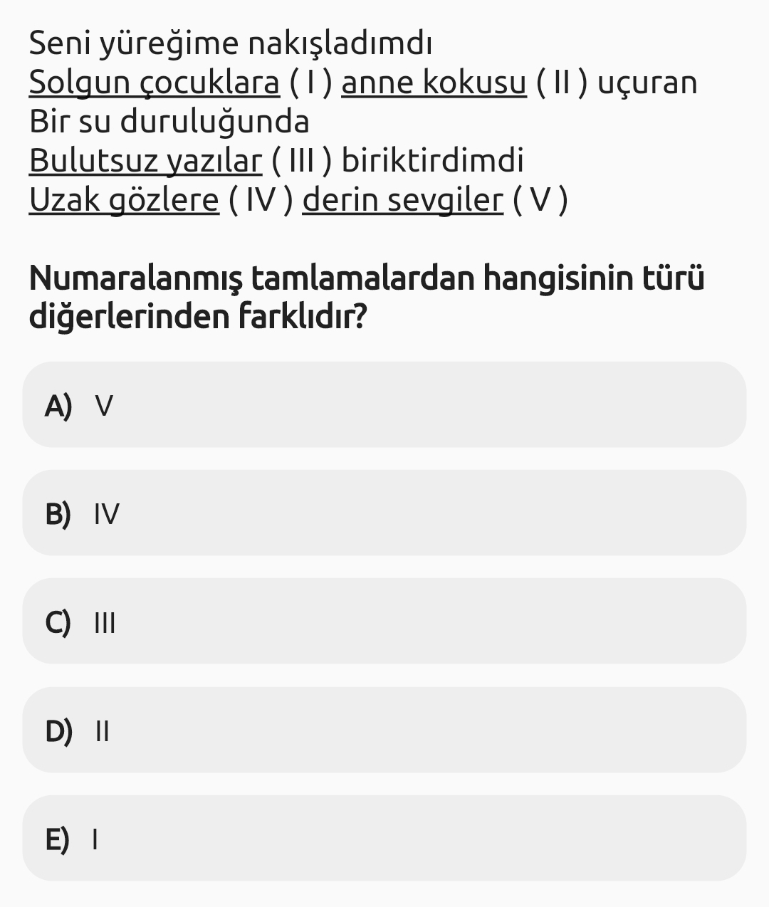 Soru Görseli