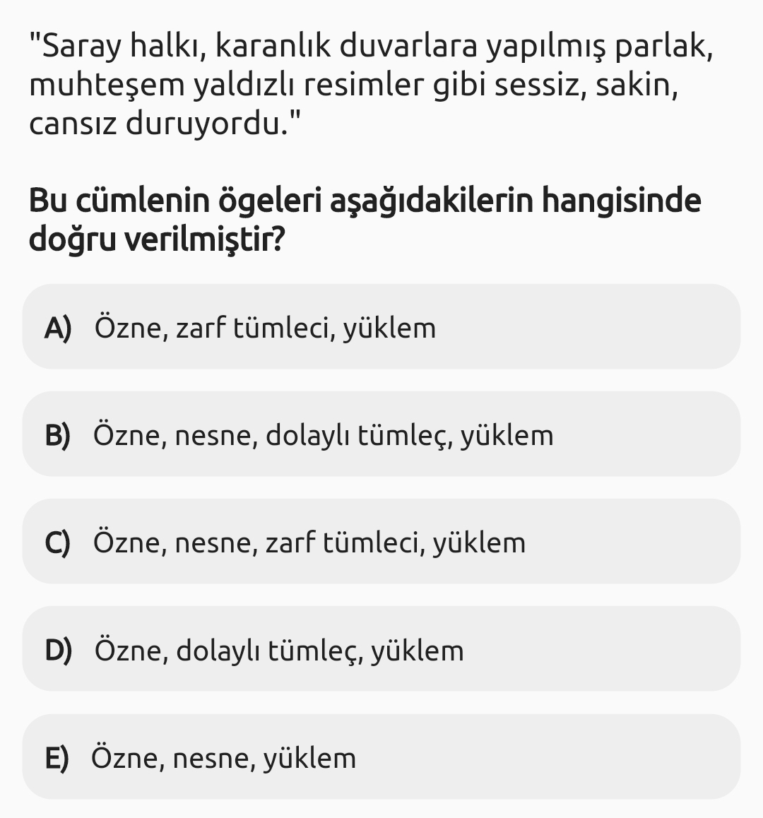 Soru Görseli