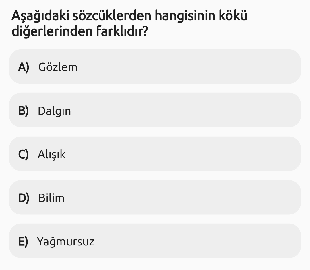 Soru Görseli