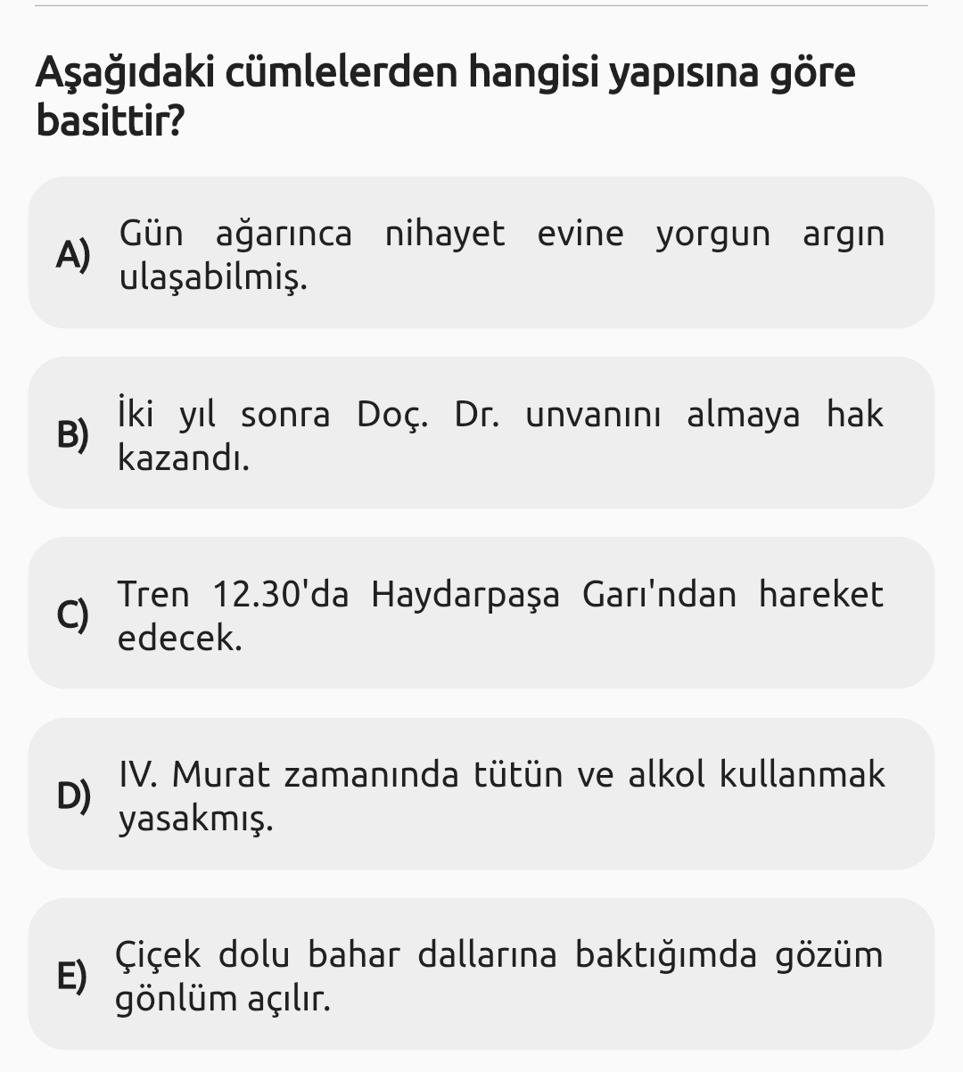 Soru Görseli