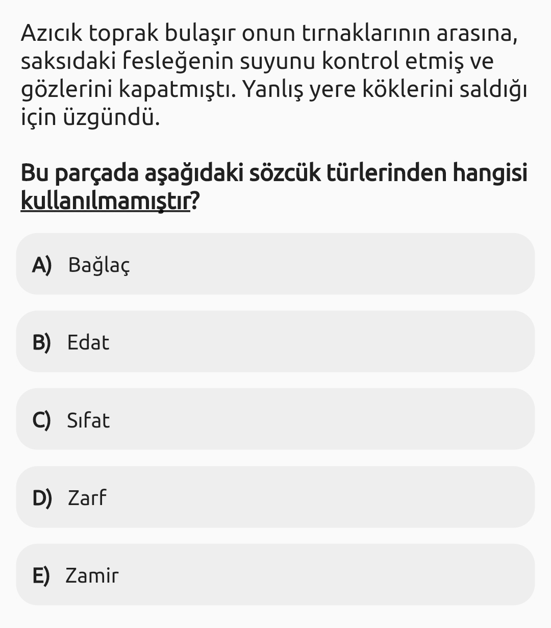 Soru Görseli