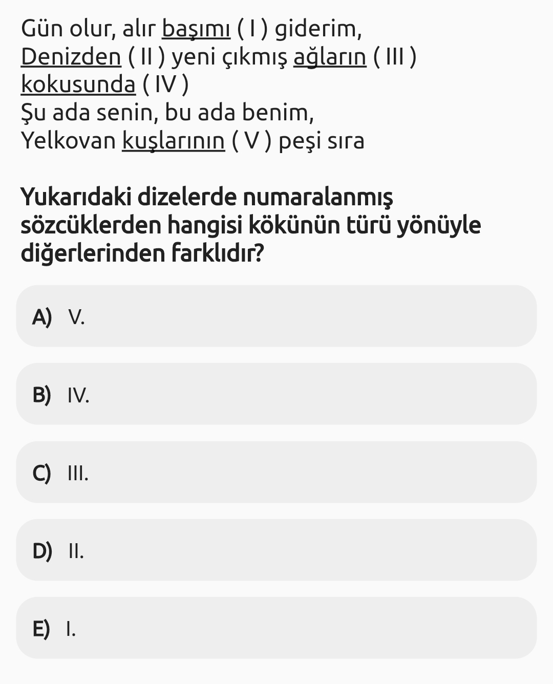 Soru Görseli