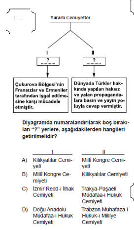 Soru Görseli
