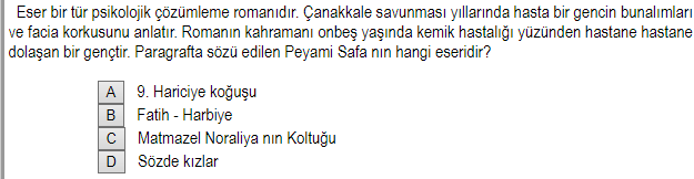 Soru Görseli