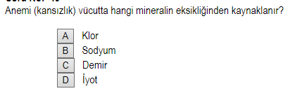 Soru Görseli