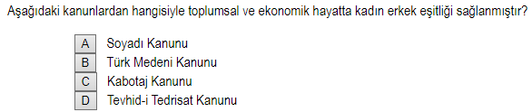 Soru Görseli