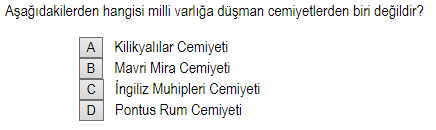 Soru Görseli