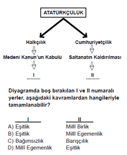 Soru Görseli