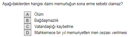 Soru Görseli