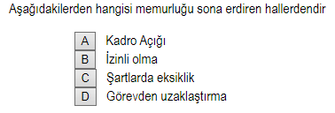 Soru Görseli