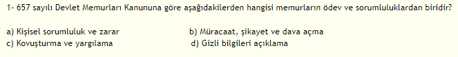 Soru Görseli