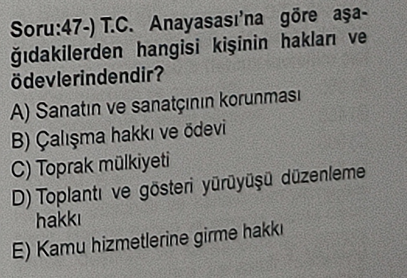 Soru Görseli