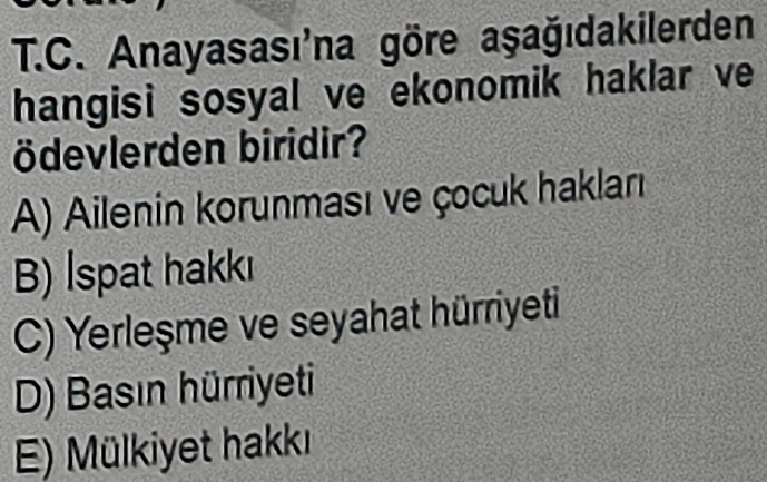 Soru Görseli