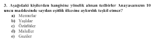 Soru Görseli