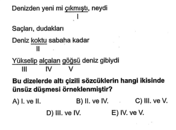 Soru Görseli